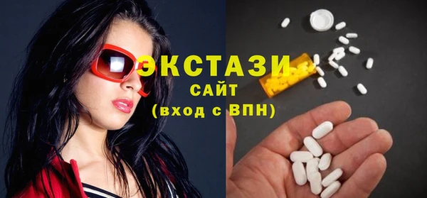 индика Горняк