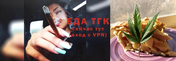 индика Горняк