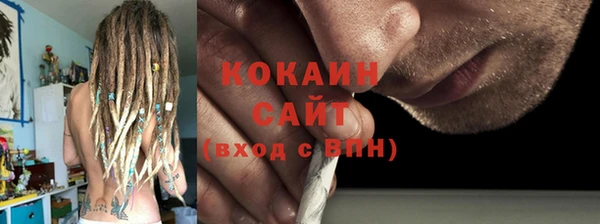 индика Горняк