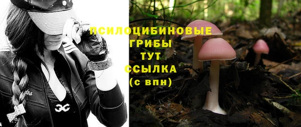 таблы Верея