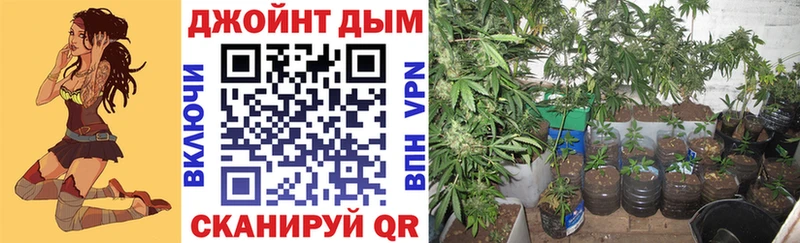 МАРИХУАНА семена  Купить закладки  Кола 